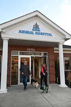 North Buffalo Animal Hospital - Introduction To Our Practice
