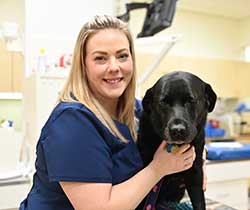 North Buffalo Animal Hospital - Preventative Care
